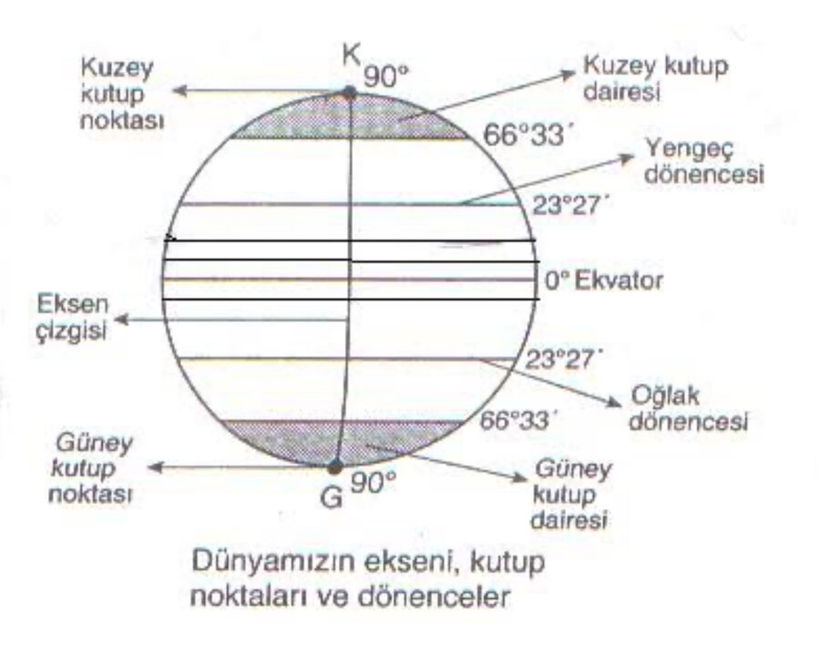 IMG_1008.jpeg